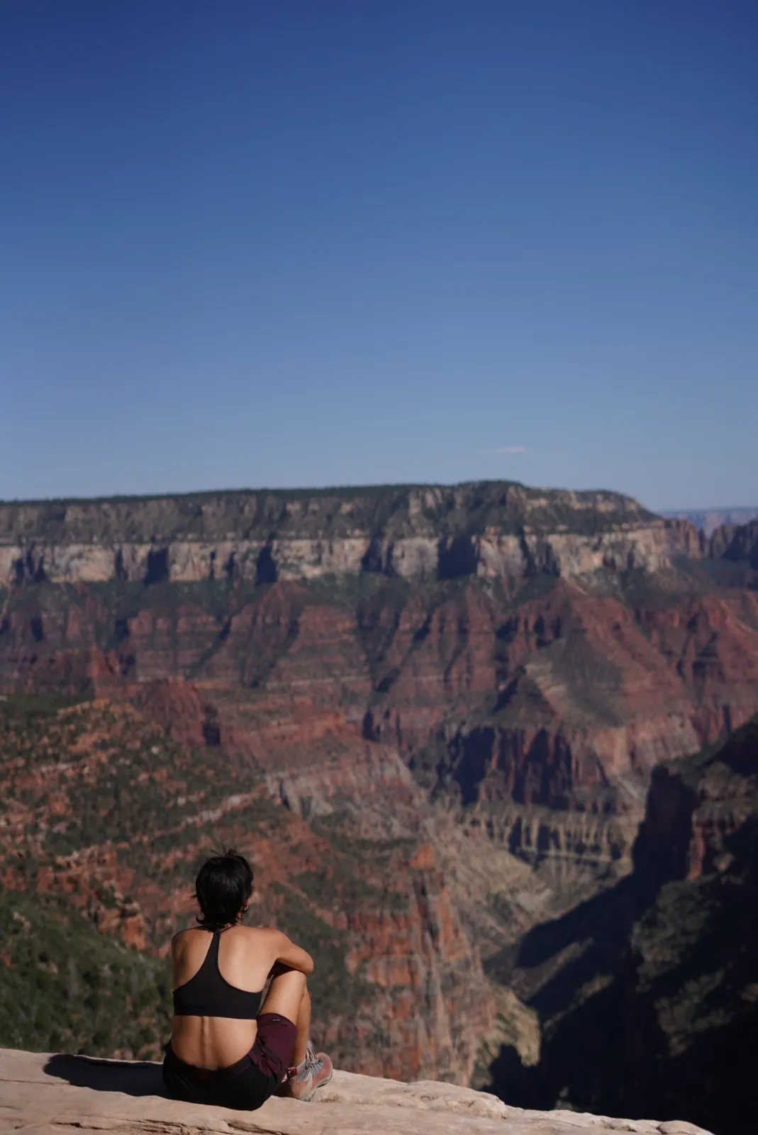 Scenic view of the Grand Canyon.