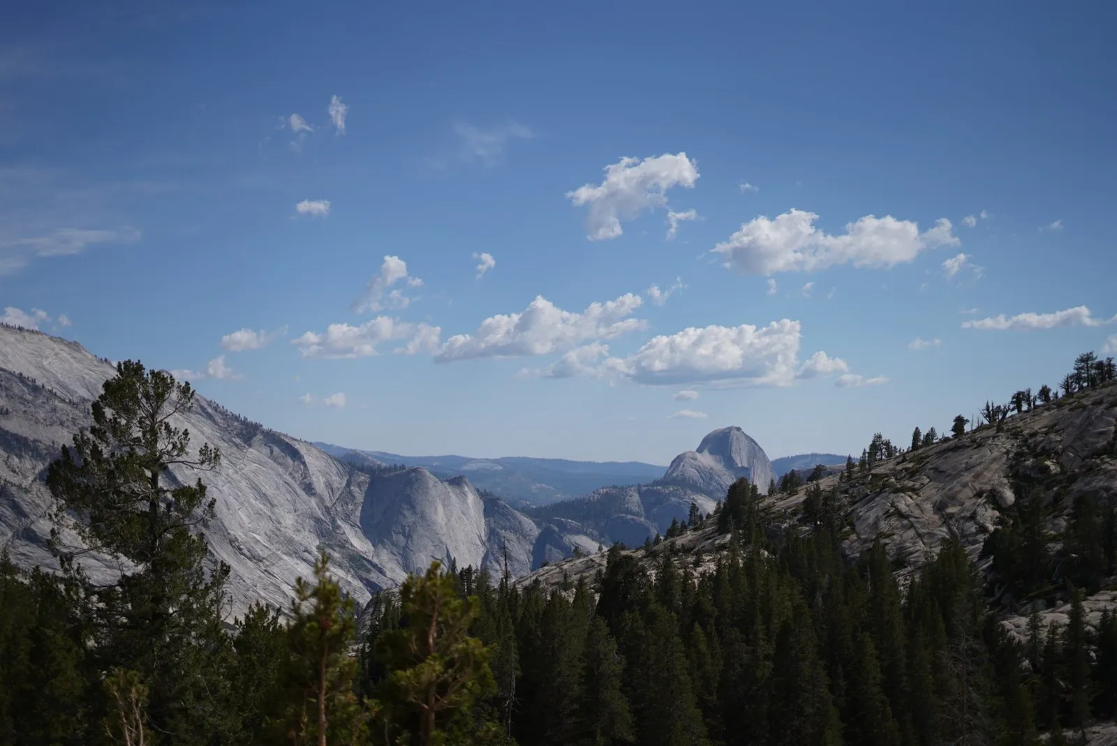 Scenic landscape view in Yosemite National Park.