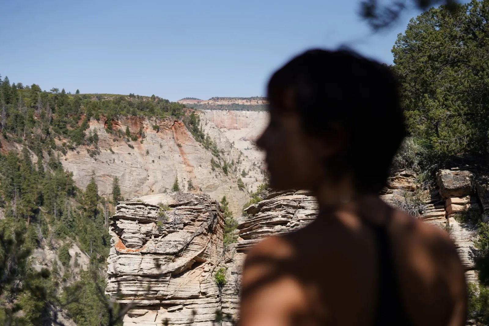 Scenic trail view in Zion National Park.